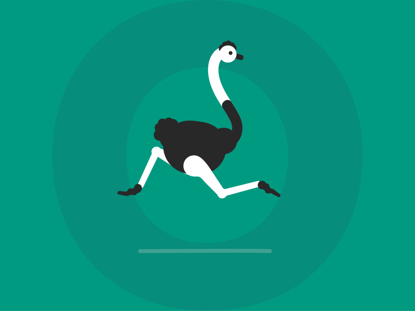 Ostrich aftereffects animal animation flatdesign illustration minimalist ostrich vector