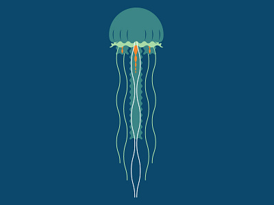 Jellyfish illustration jellyfish vector