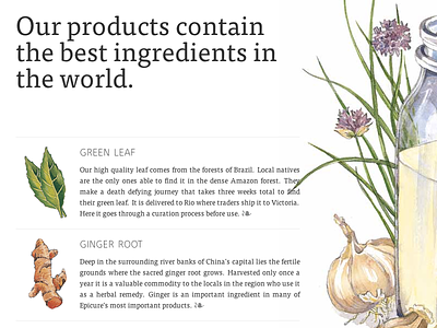 Epicure Ingredients advertising epicure garlic ginger herbs illustration ingredients leaf milk product root typography