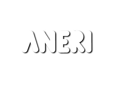 Aneri branding hand lettering lettering logo mark