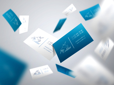 Business Card Colibri branding business card business card design design illustration typography vector