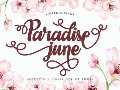 Paradise June - Beautiful Swirl Script Font