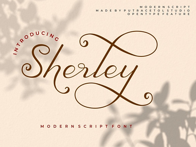 Sherley - Modern Elegant Script Font