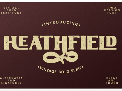 Heathfield – Vintage Bold Serif Font 70s font bold font branding font classic font cover font display font elegant font fashion font groovy font headline font logo font luxury font modern font playful font poster font retro font serif font stylish font title font vintage font