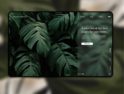 Monstera Webdesign design figma glass effect interface minimal monstera monstera deliciosa plants ui uiux ux web