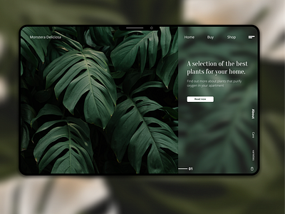 Monstera Webdesign