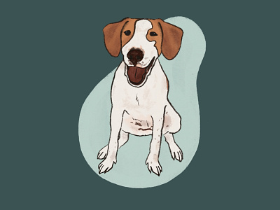 Izzy Portrait dog dog illustration illustration portrait procreate
