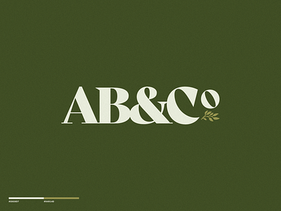 AB&Co Wordmark brand design branding branding design design illustration logo madewithmako photography typography vector wordmark wordmark logo