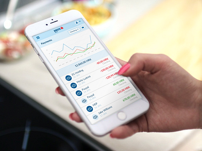 Mobile app for Erste Bank accounts balance banking finance graph mobile payments transactions ui ux