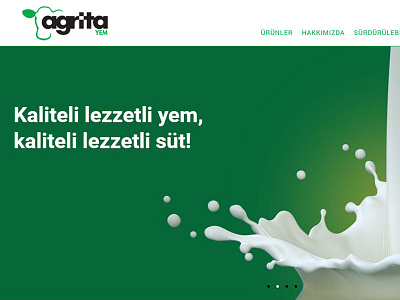 Agrita Web Development