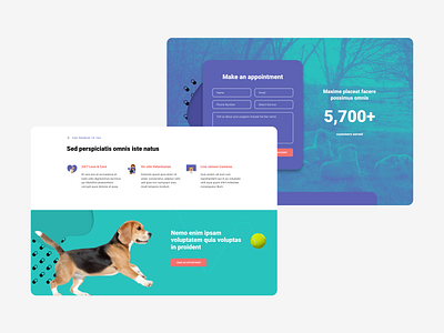 Dog boarding house design ui ux web