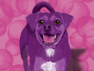 Pet Portrait design dog dogs illustration illustrator pet petportrait
