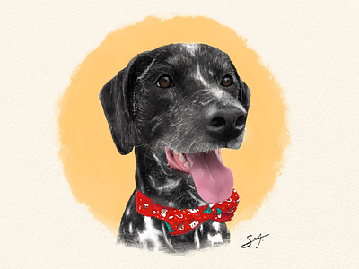Dog Portrait dog dogs illustration portrait
