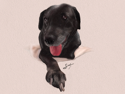 Portrait of Olivia digital dog illustration pet pets portrait procreate