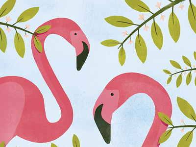 Two pink flamingos