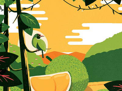 Durian chocolate packaging illustration