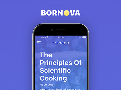Bornova - blog app user interface blog bornova modern swip ui