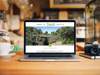 Benny Cafe auckland clean design responsive web