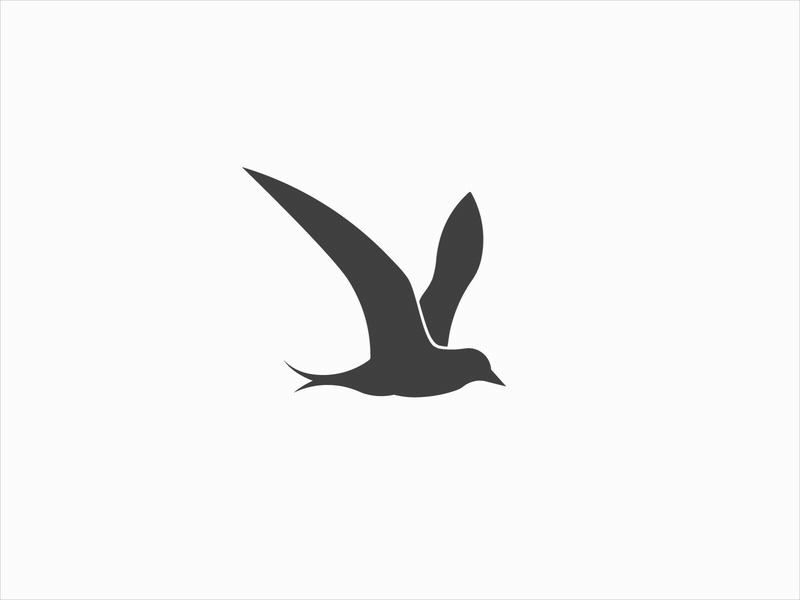 Arctic Tern Flying bird bird design gif golden ratio illustrator logo logos odyssey sign simbole