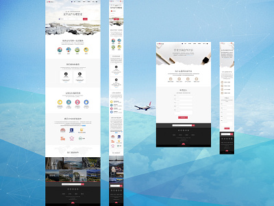 Responsive Design - LeYo online visa services platform responsive design ui design ux design visual design