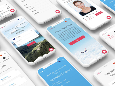 Leyo Visa ios app design