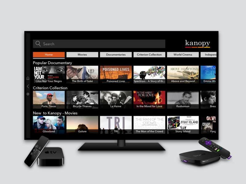 Kanopy Video App wireframe prototype graphic design user flows apple tv roku android ios ui ux app design product design