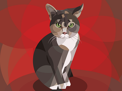 Bella animal cat geometric illustration red vector