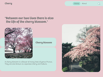 Web of Cherry blossom app branding design illustration logo minimal typography ui ux web