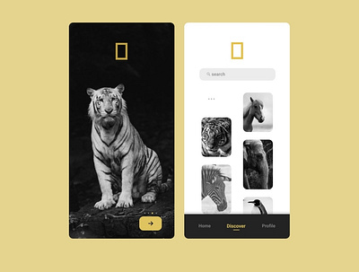 App Screen Mockup animals app screen ui ux wildlife