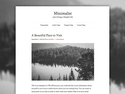 Minimalist Theme genesis framework minimalism minimalist design wordpress