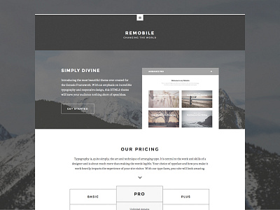 Remobile Pro Theme genesis genesis framework wordpress