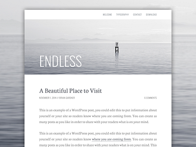 Endless Theme genesis genesis framework wordpress