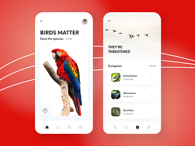 Save Birds - Mobile App Design
