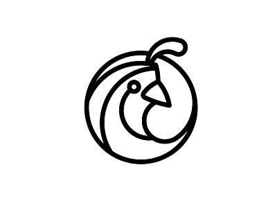 Quail logo animal bird branding concept design graphic identity illustration logo simple