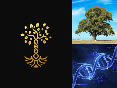 DNA Tree logo branding design dna freelance graphic design identity illustration logo logo design luxury luxury logo tree tree logo