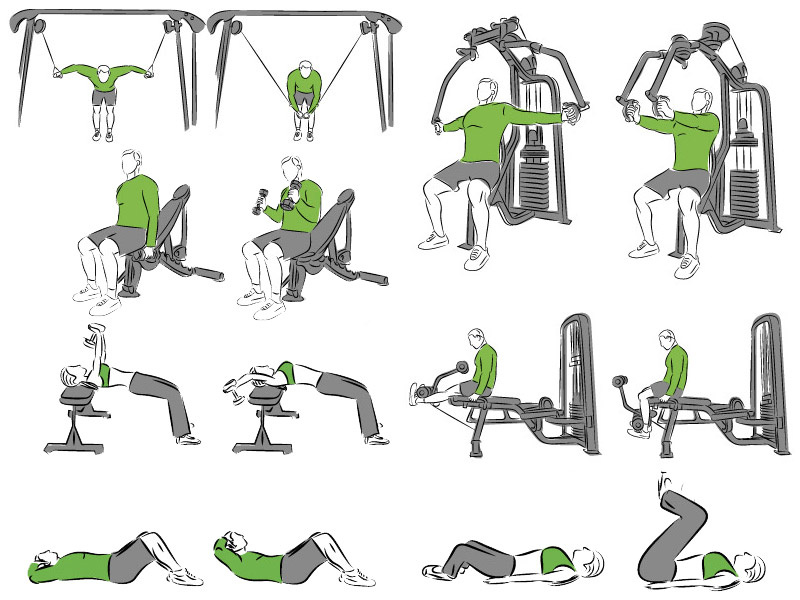 Big set of systematic bodybuilding exercises by Yaroslav Koval on Dribbble