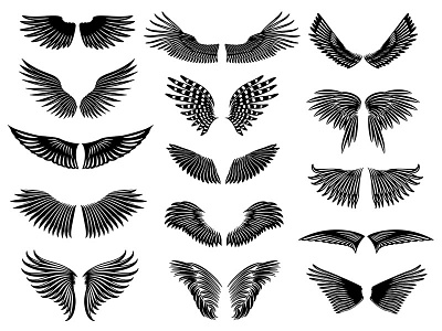 Natural Wings Set bird plume set wings