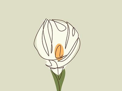 Abstract flower calla lily in one line art drawing style.