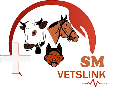 logo for veterinary medicine adobe illustrator logodesign logodesigner vector art veterinary logo