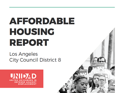 UNIDAD-Affordable Housing Report graphic design