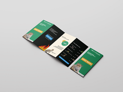 Papiliorama | Leaflet branding design graphic design leaflet design mockup