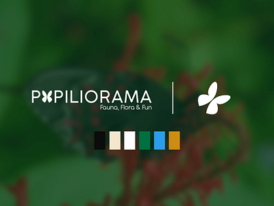 Papiliorama | Brand identity branding color palette graphic design icon logo minimalist minimalist logo