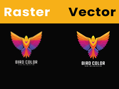 Color Bird Logo Vectorization illustration vector