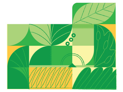 Botanical Shoe illustration vector