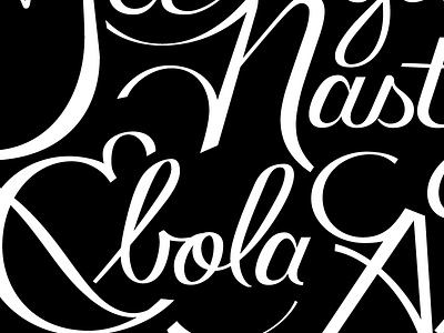 Overheard NYC Script lettering overheard poster quote script typography