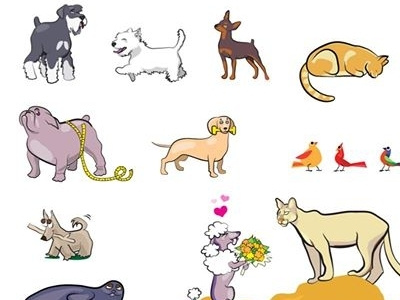 Animal Illustrations pets