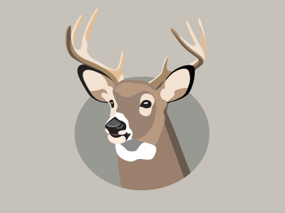 Buck Illustration animal antlers buck deer detail geometric illustration