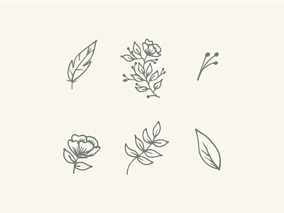 Illustrations earth tones feather floral flower icons illustrations sketch