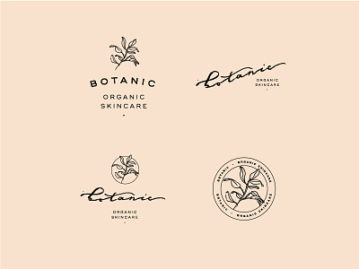 Botanic botanic botanical illustration handlettering lockup logo organic typography