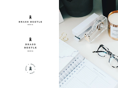 Brass Beetle Media beetle brand identity illustration logo marketing pr
